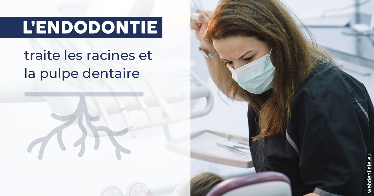 https://dr-riedel-yann.chirurgiens-dentistes.fr/L'endodontie 1