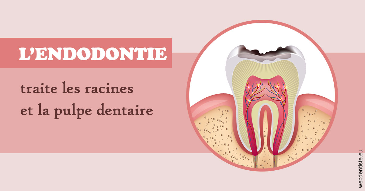 https://dr-riedel-yann.chirurgiens-dentistes.fr/L'endodontie 2