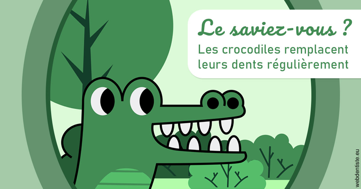 https://dr-riedel-yann.chirurgiens-dentistes.fr/Crocodiles 2