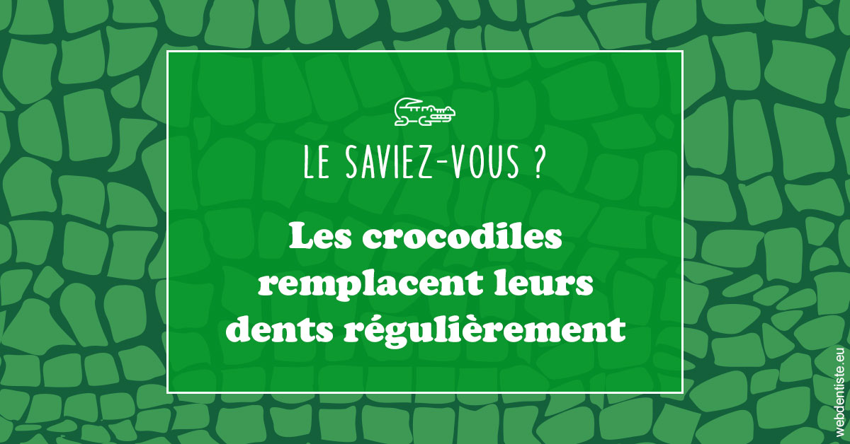 https://dr-riedel-yann.chirurgiens-dentistes.fr/Crocodiles 1